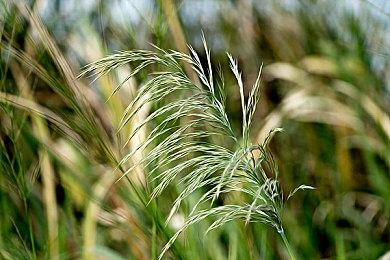 潜行哥布林最新作《冥河：贪婪之刃》公布 Steam页面上线