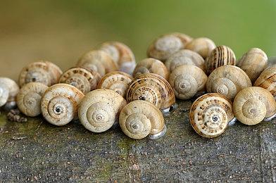 《冲突：混沌神器》今年11月推出 实机内容视频分享